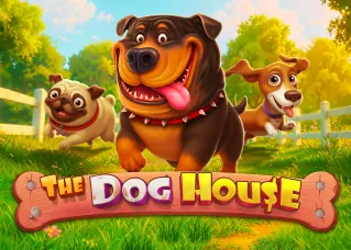 The Dog House ufa345